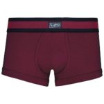 Cueca Sungão Modal Cueca Sungão Modal