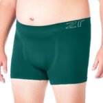 Cueca Boxer Sem Costura Microfibra