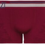 Cueca Boxer Sem Costura Microfibra