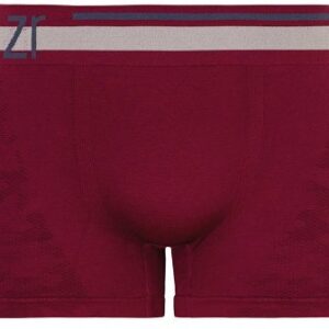 Cueca Boxer Sem Costura Microfibra